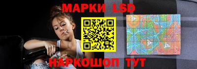 шишки Гай