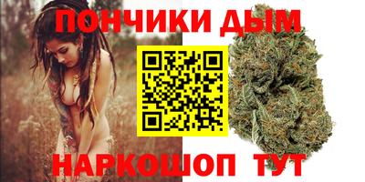 шишки Гай