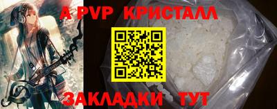 шишки Гай