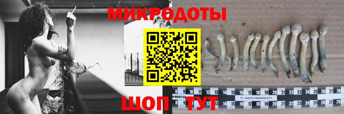 Псилоцибиновые грибы Magic Shrooms  Вход с VPN  Набережные Челны 